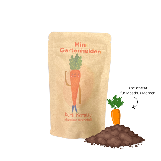 Karotte Anzuchtset für Kinder, spielerisch eigenes Gemüse anbauen