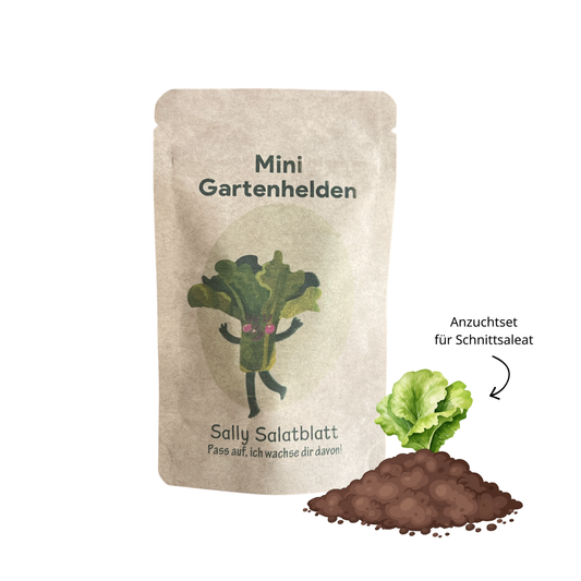 Salatblatt Anzuchtset, Pflücksalat Aussaat spielerisch entdecken