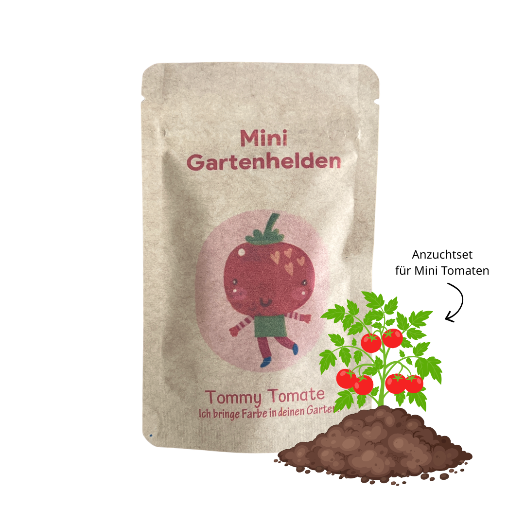 Tomate Anzuchtset, Aussaat Tomaten spielerisch entdeckeN