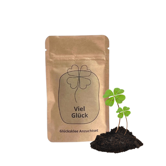 Anzuchtset 4blättrige Kleeblätter