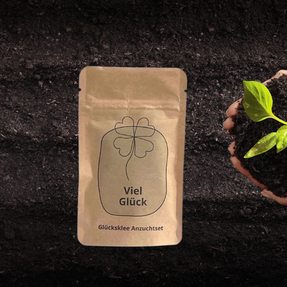 Glücksbringer Kleeblatt Anzuchtset