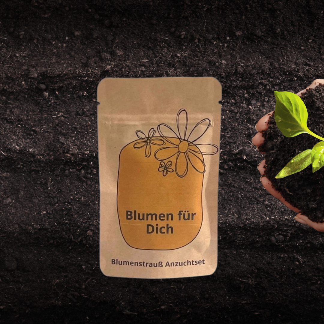 Blumen für Dich Anzuchtset, ein Blumenstrauß, der wächst