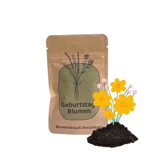 Geburtstagsblumen Anzuchtset