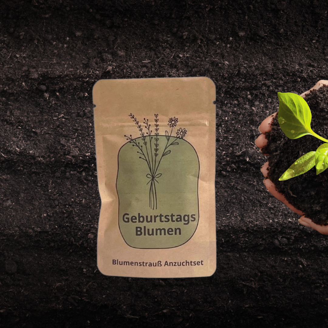 Geburtstagsblumen Anzuchtset für einen Blumenstrauß