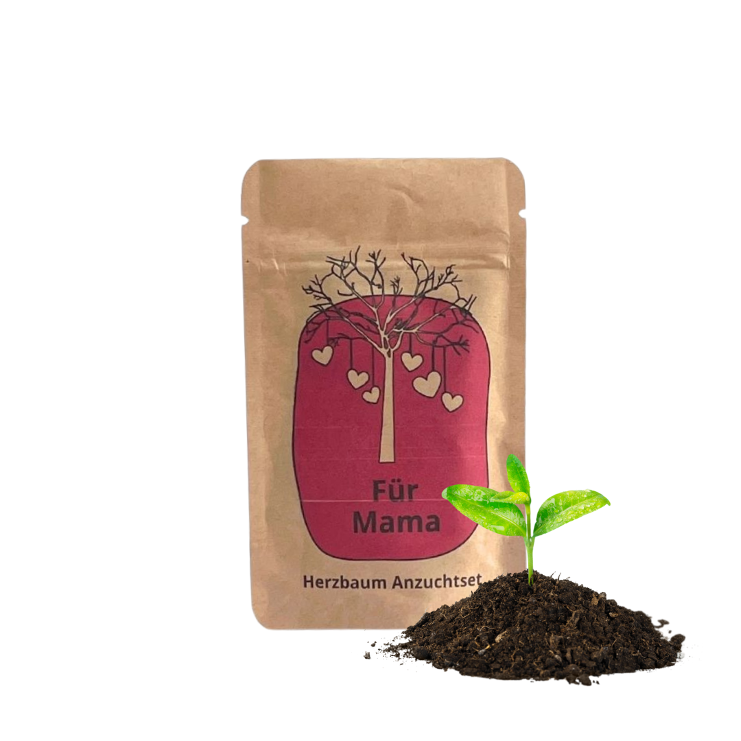 Für Mama Anzuchtset für einen Herzbaum