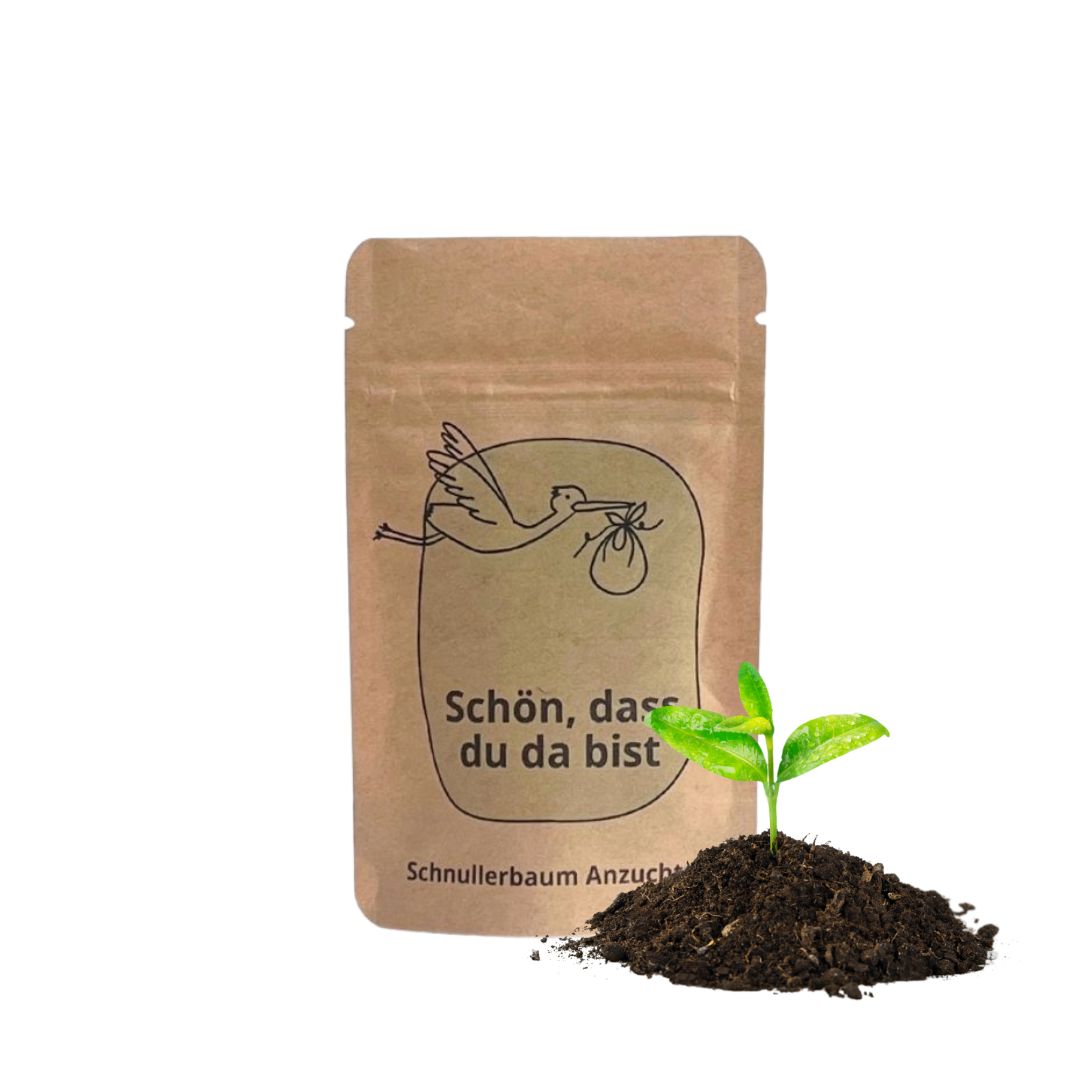 Schön, dass du da bist, Anzuchtset zur Geburt