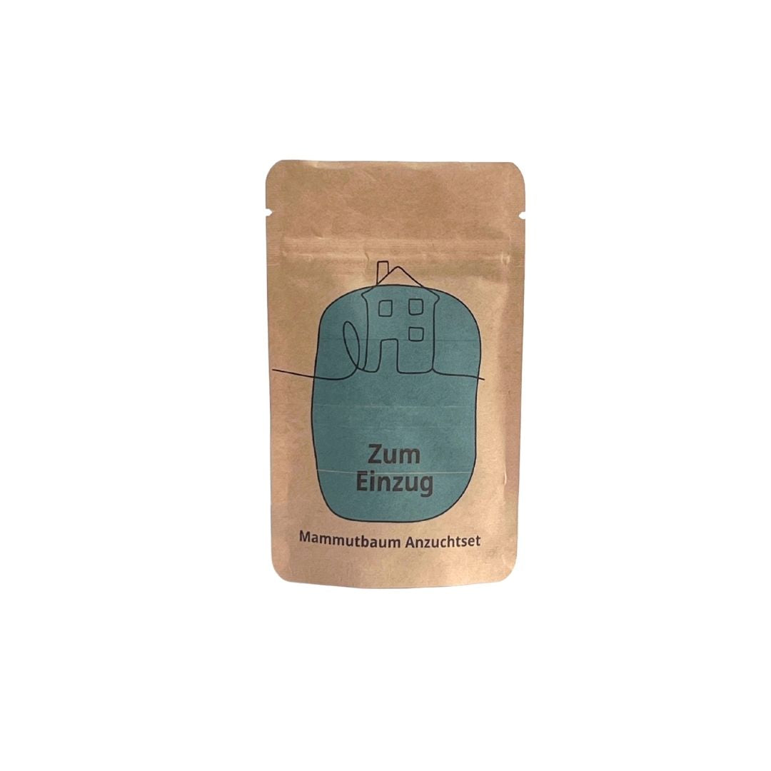 Saatüte mit Bergmammutbaum