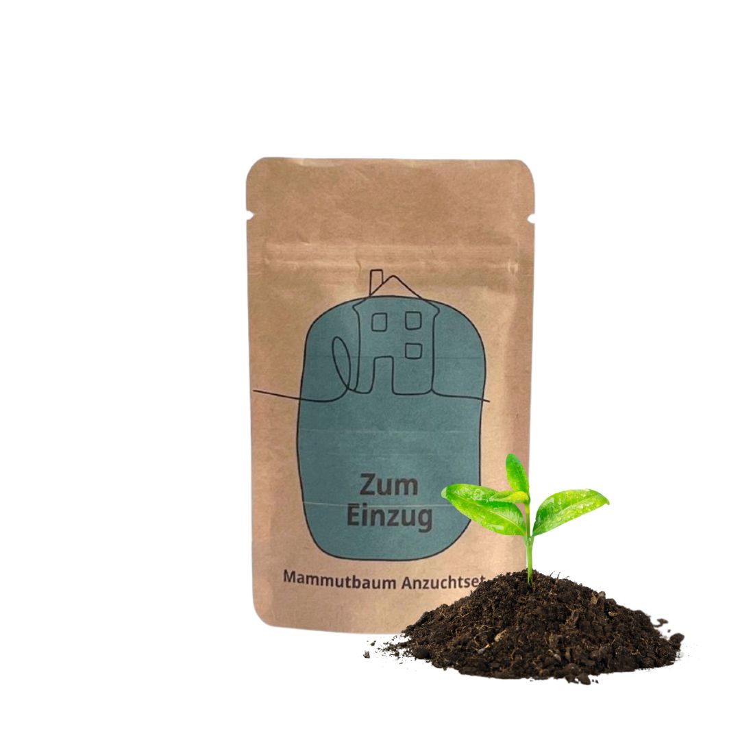 Geschenk zum Einzug
