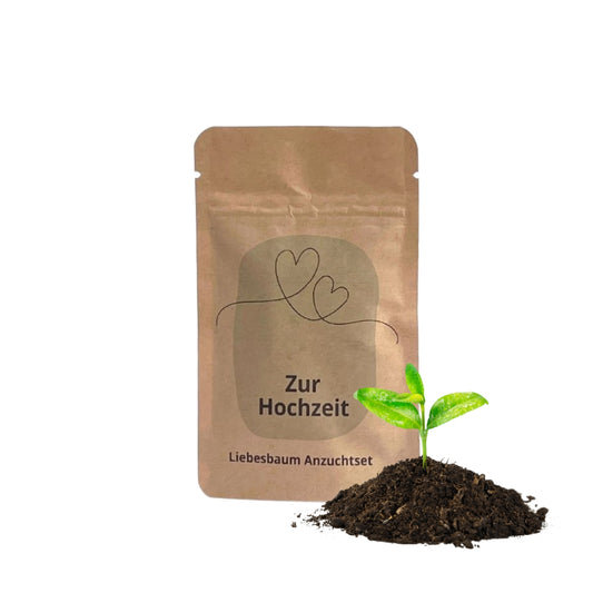 Zur Hochzeit Anzuchtset ein liebevolles Mitbringsel zum Polterabend