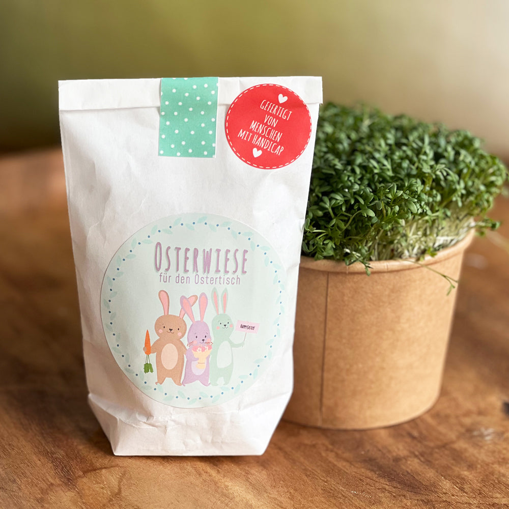 Mitbringsel zu Ostern – Mini Ostertüte voller Osterfreude mit Kresse