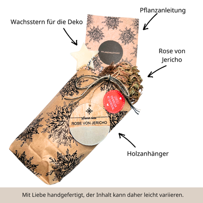 Ein altes Ritual - Rose von Jericho