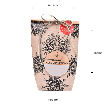 Rose von Jericho  Wundertüte als Weihnachtsgeschenk für Pflanzenfreunde
