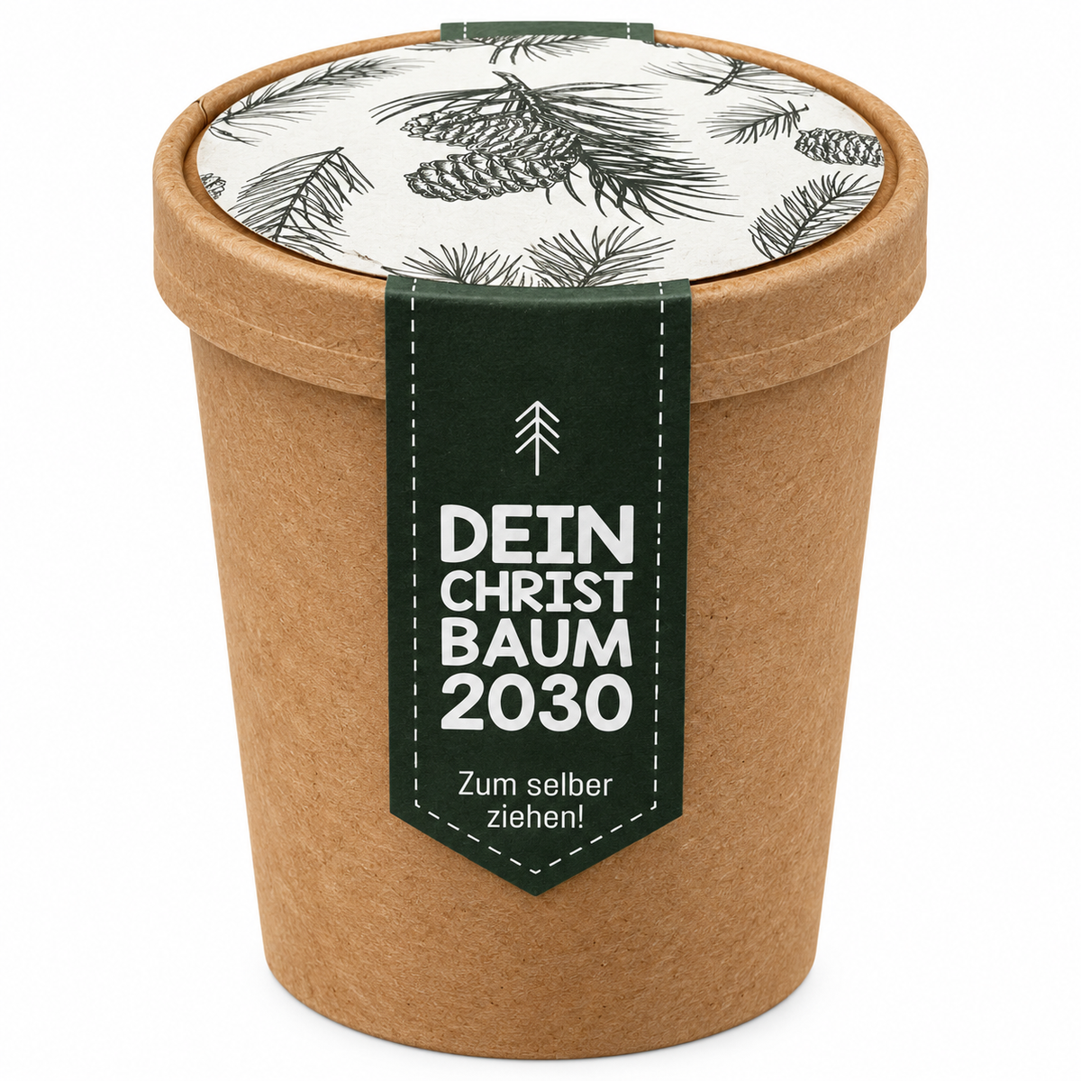 Weihnachtsbaum Samen Geschenk: Pflanz deinen eigenen Tannenbaum