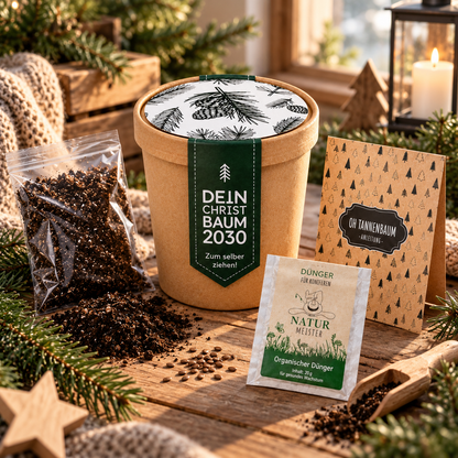 Tannenbaum Anzucht Set