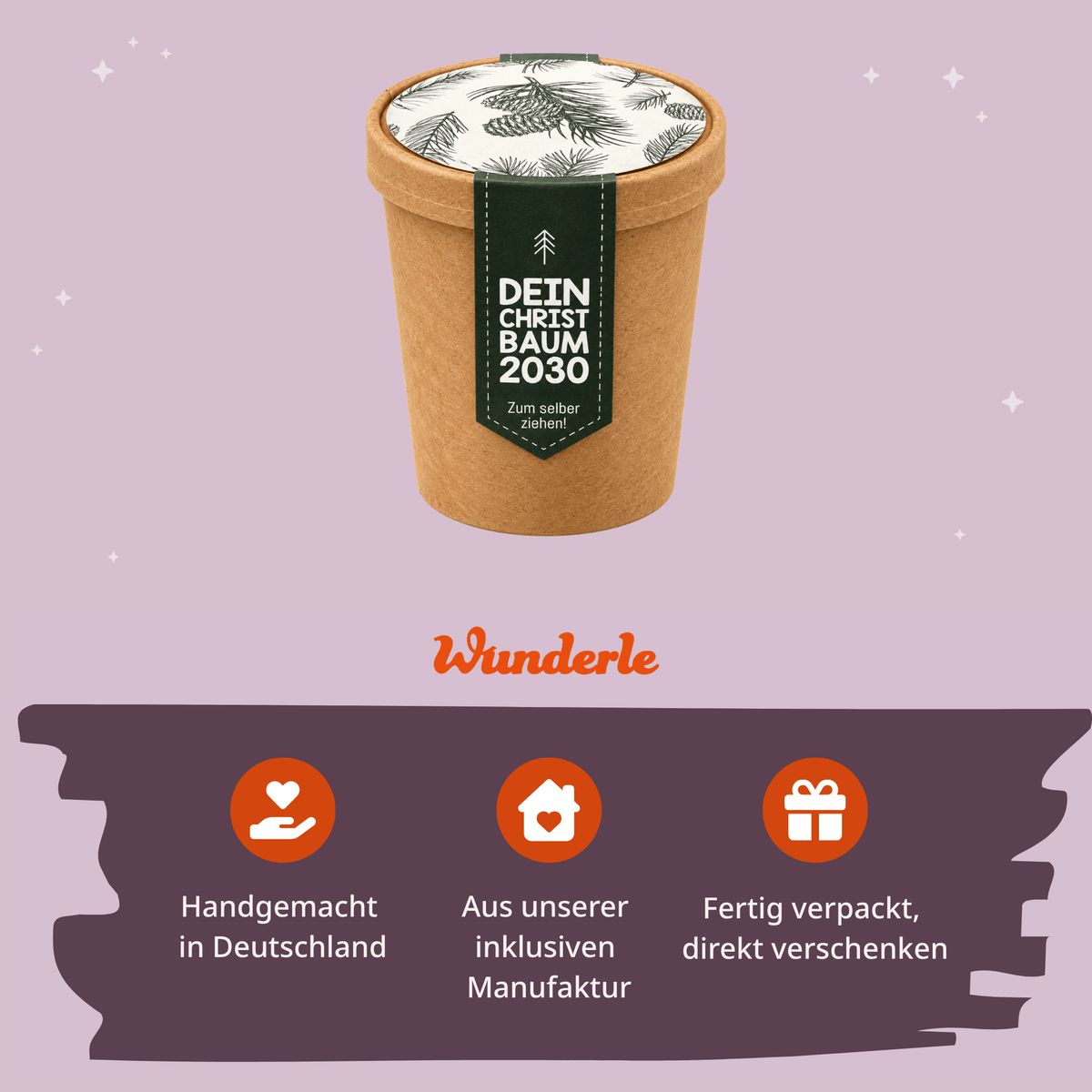 Pflanz einen Tannenbaum Pflanzset