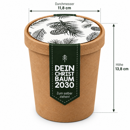 Tannenbaum Pott zum selber ziehen