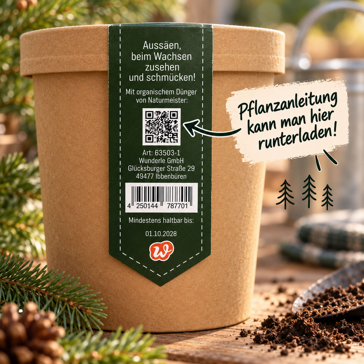 Weihnachtsbaum Pflanzanleitung