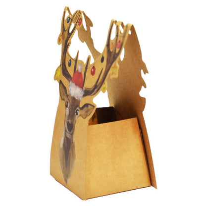 schöne Geschenkverpackung zur Weihnachtszeit
