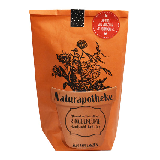 Ringelblumensalbe- natürliche Pflege mit der Naturapotheke Ringelblume Wundertüte