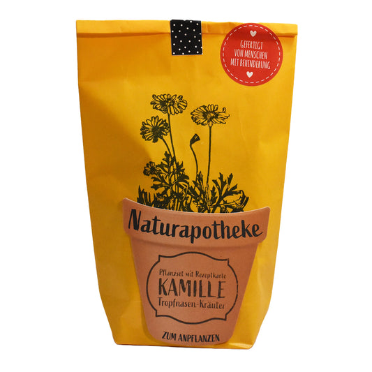 Antistress Geschenk: DIY Naturapotheke - Kamillentee zum Anpflanzen