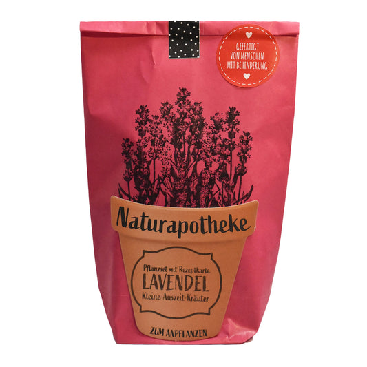Lavendel Geschenk zum Anpflanzen