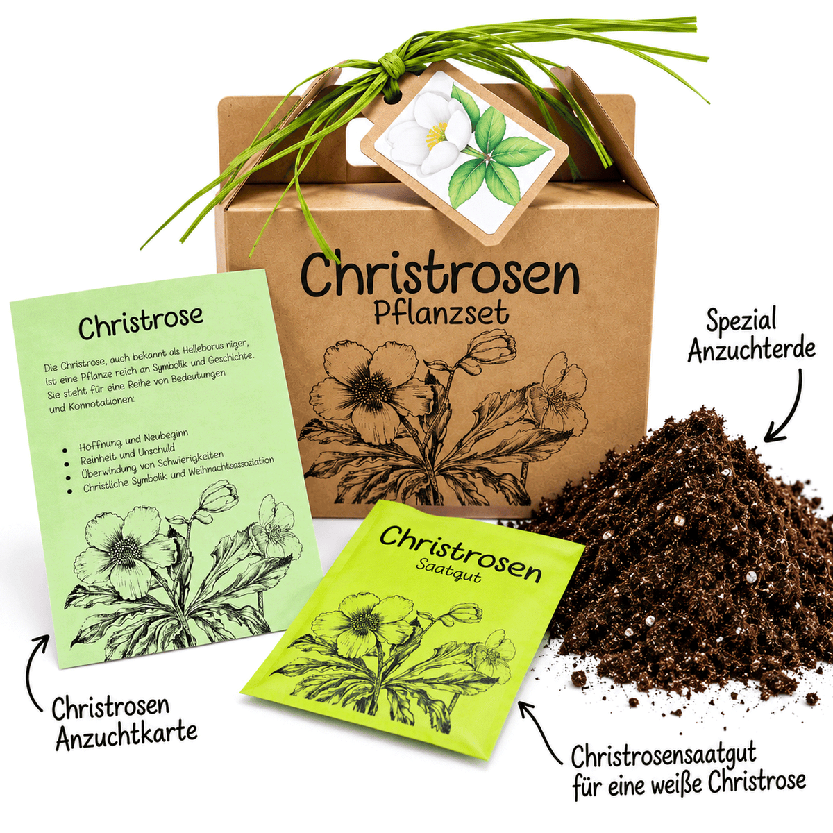Geschenke für Pflanzenliebhaber: Christrosen Anzuchtset mit Saatgut, Anzuchterde und Pflanzanleitung