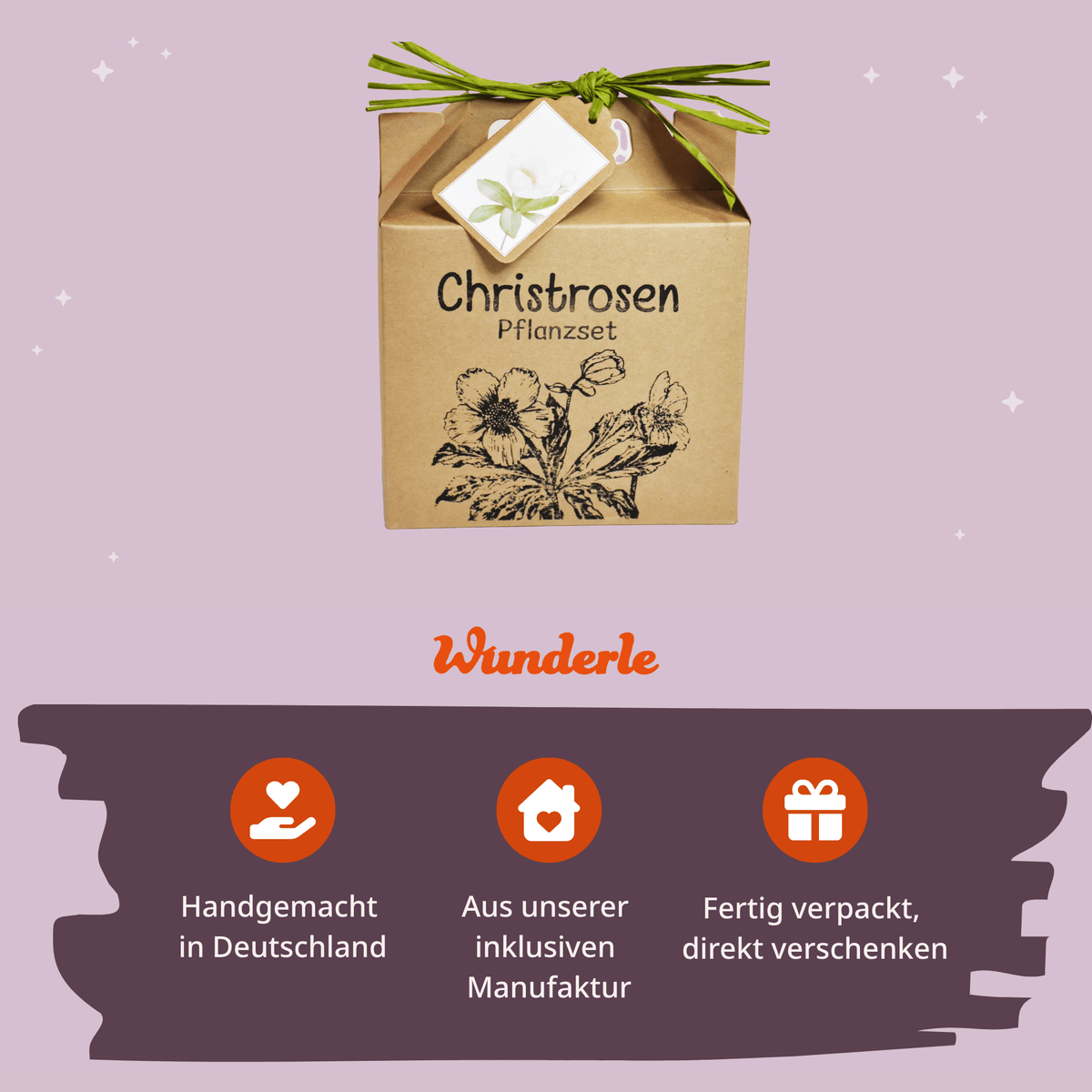 Geschenke für Pflanzenliebhaber: Christrosen Anzuchtset. Gefertigt von Menschen mit Handicap in Deutschland. 