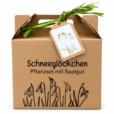 Schneeglöckchen Anzuchtset