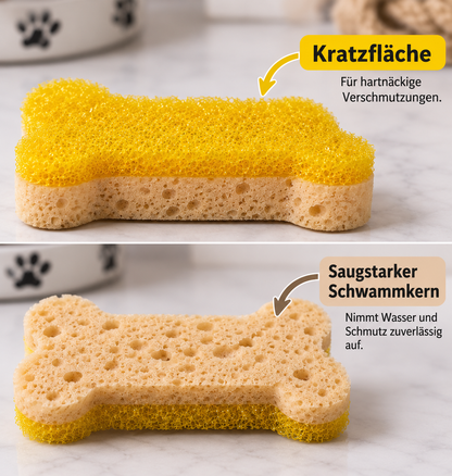 Napfschwamm