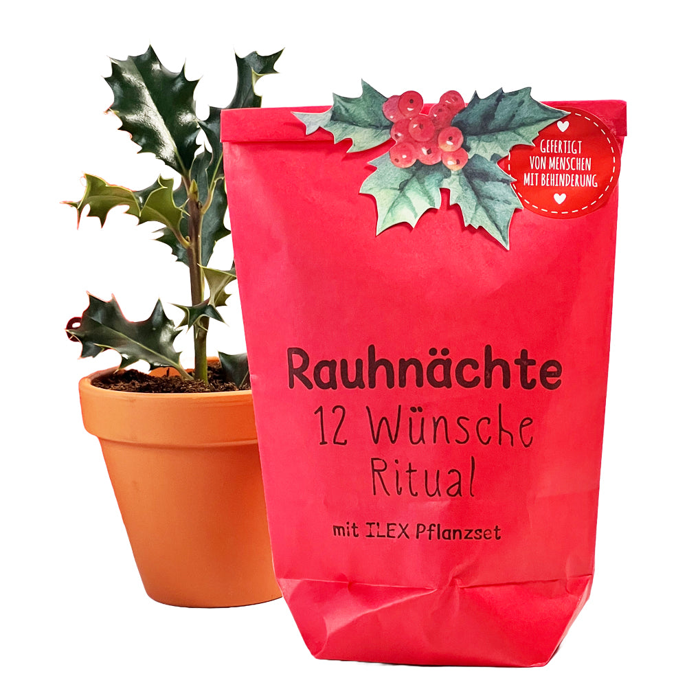Magische Rauhnächte: 12 Wünsche Ritual Wundertüte mit Ilex Pflanzset 