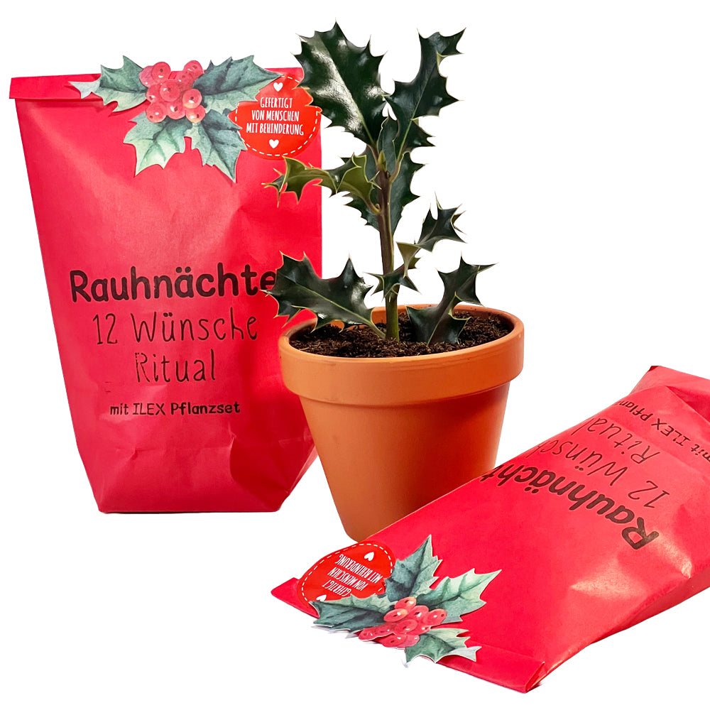 Magische Rauhnächte: 12 Wünsche Ritual Wundertüte mit Ilex Pflanzset