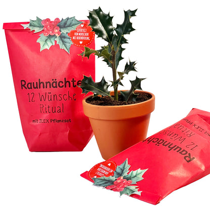 Magische Rauhnächte: 12 Wünsche Ritual Wundertüte mit Ilex Pflanzset