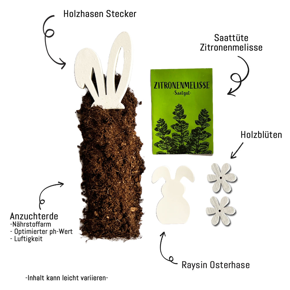 Inhalt Osterhasengrüße mit Hasenstecker, Holzblüten, Saattüte und Raysin Hasen sowie Anzuchterde
