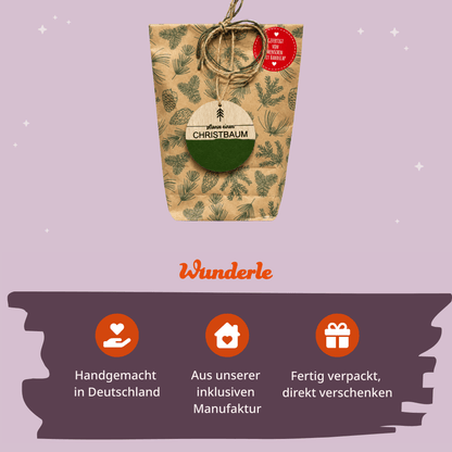 Pflanz einen Christbaum Wundertüte mit Tanne