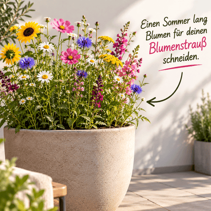 Blumen Geschenke von Wunderle: Blumen für Dich Wundertüte mit Lieblingsblumen Samen