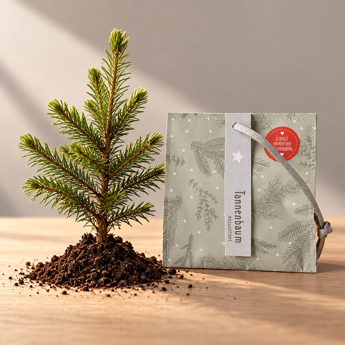 Weihnachtsbaum Pflanzset
