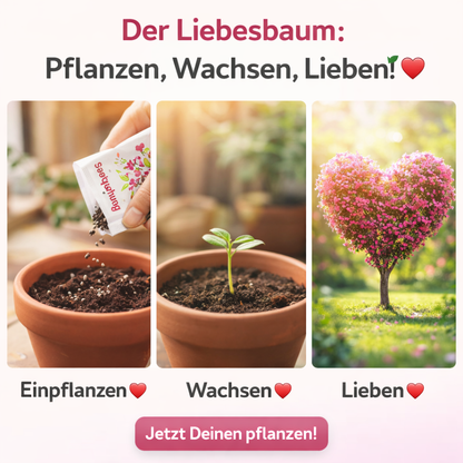 Herzbaum Samen zur Hochzeit
