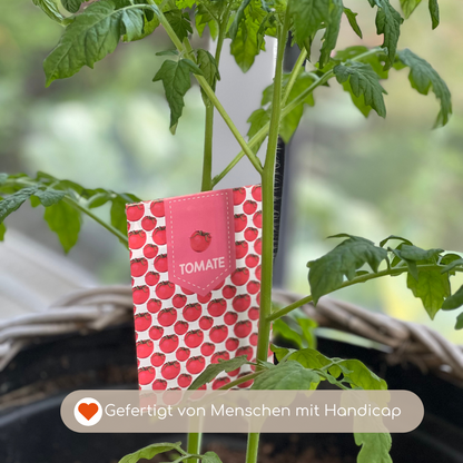 Tomatenpflanze mit Tomatensamen