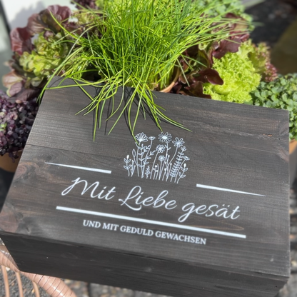 Garten Anzuchtset für Salat und Microgreen