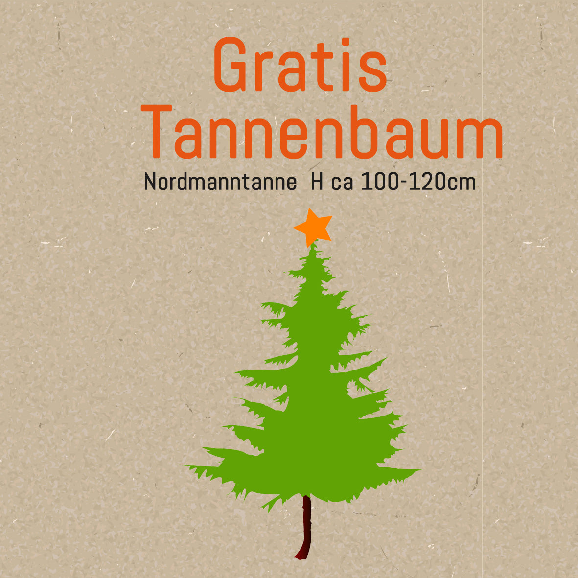 Tannenbaum Nordmanntanne 100-120cm